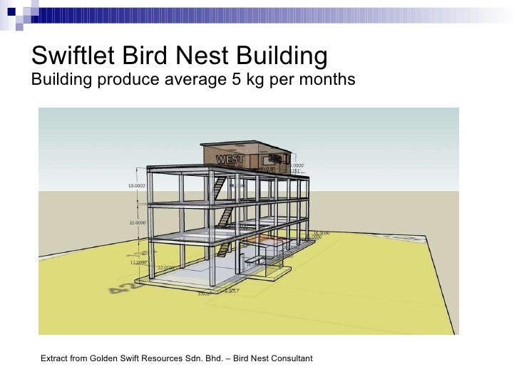Bird nest house design malaysia Bird nest house design malaysia